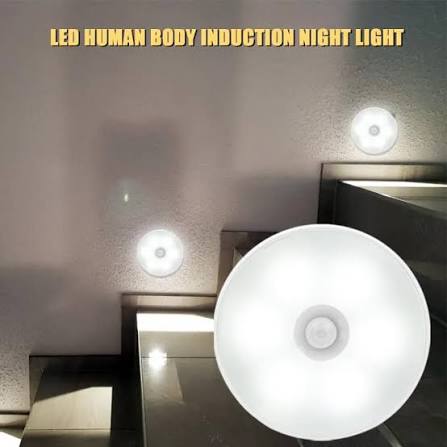 magnetic light