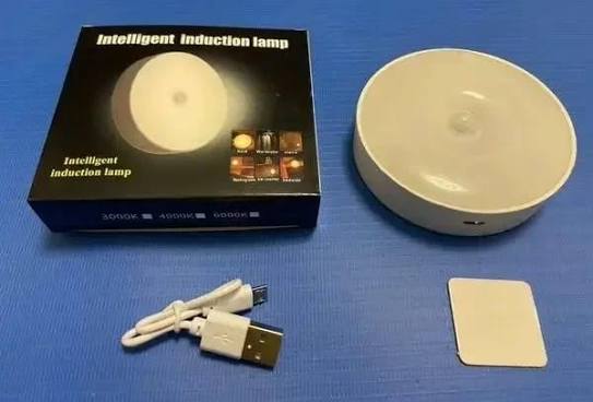 magnetic light