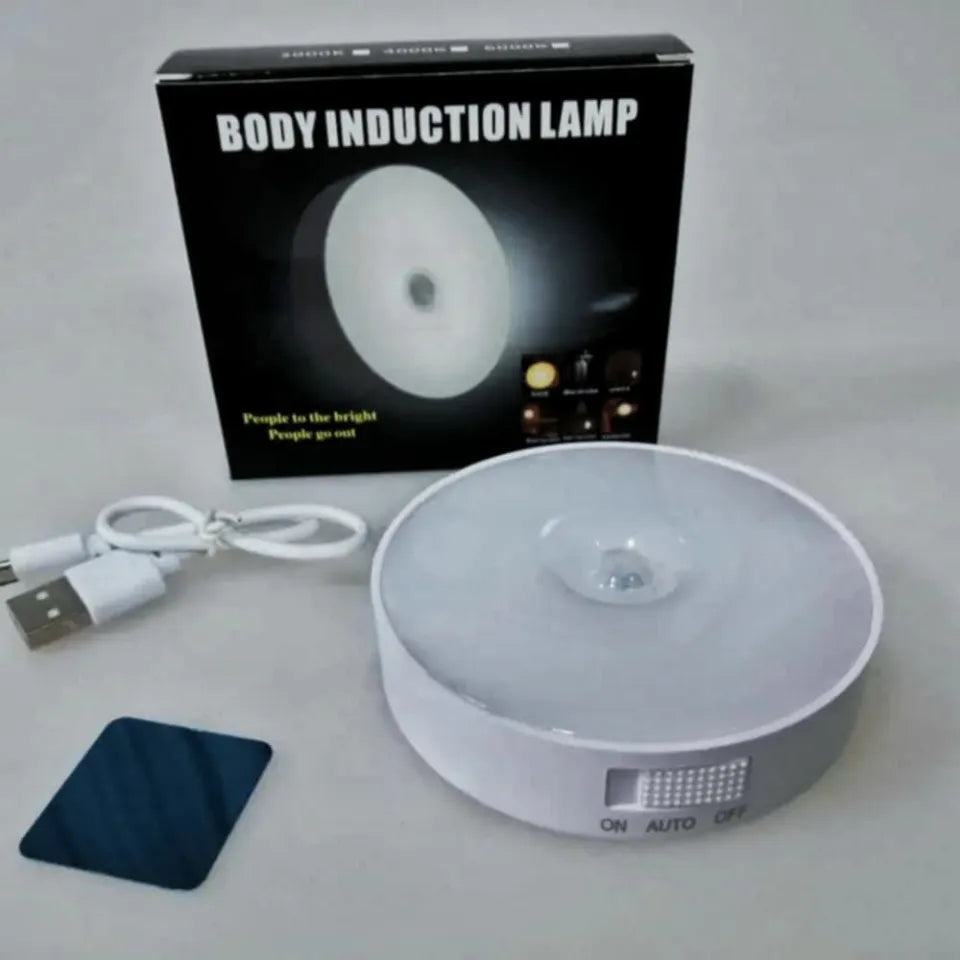 magnetic light