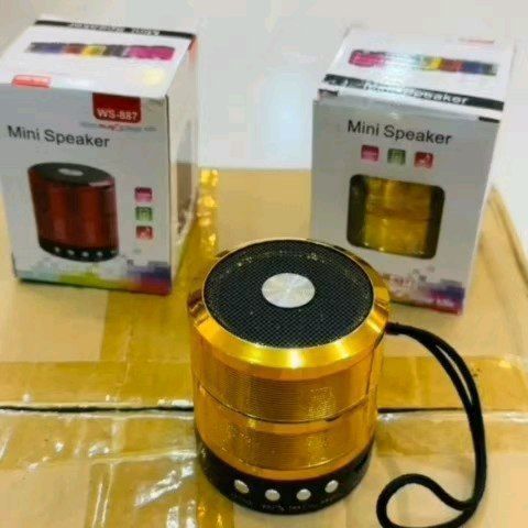 WS 887 Mini Portable Bluetooth Speaker