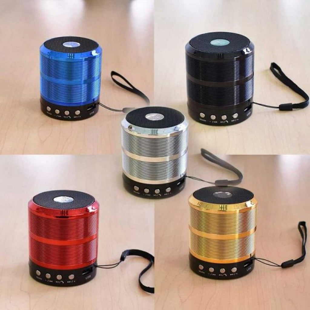 WS 887 Mini Portable Bluetooth Speaker