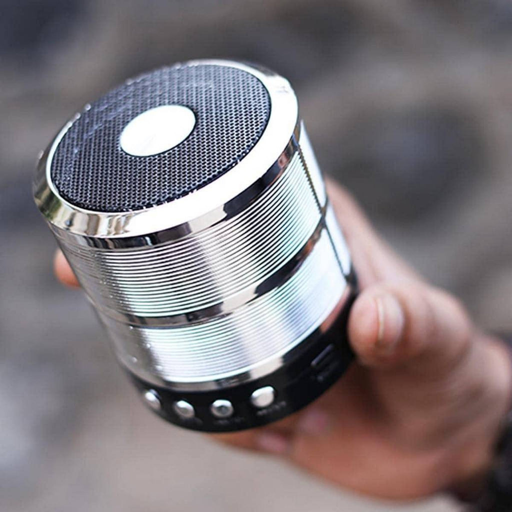 WS 887 Mini Portable Bluetooth Speaker