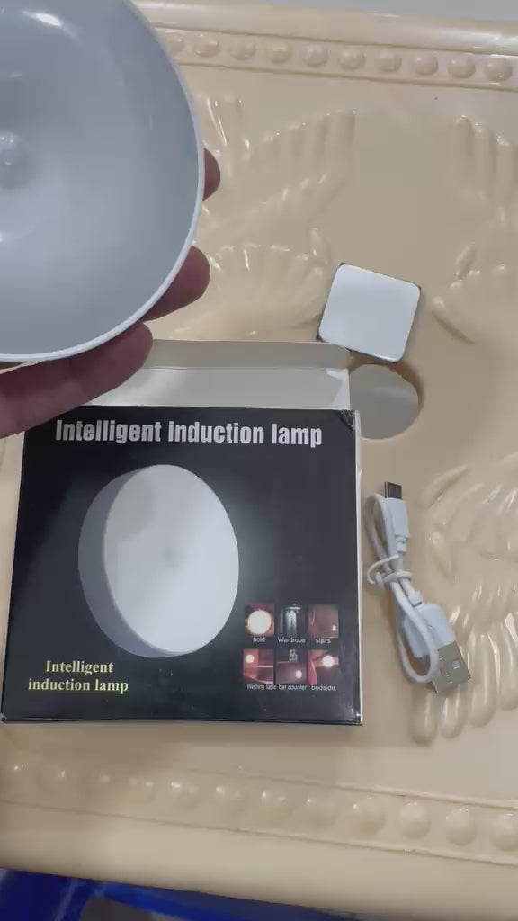 magnetic light